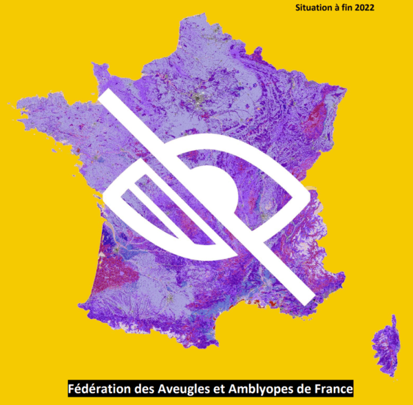 Panorama de l’offre d’accompagnement et de réadaptation en direction des personnes déficientes visuelles et sourdaveugles